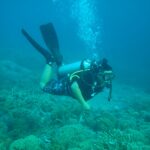 Camping Gili Kondo For Under Water Tours